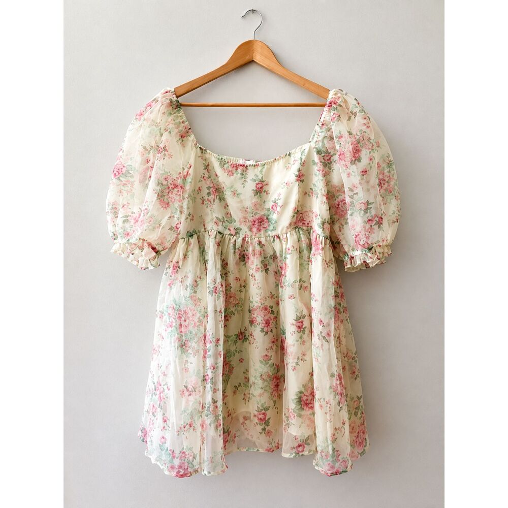 Audrey Parks Francesca’s Floral Puff Sleeve Cottagecore Mini Dress Size Large